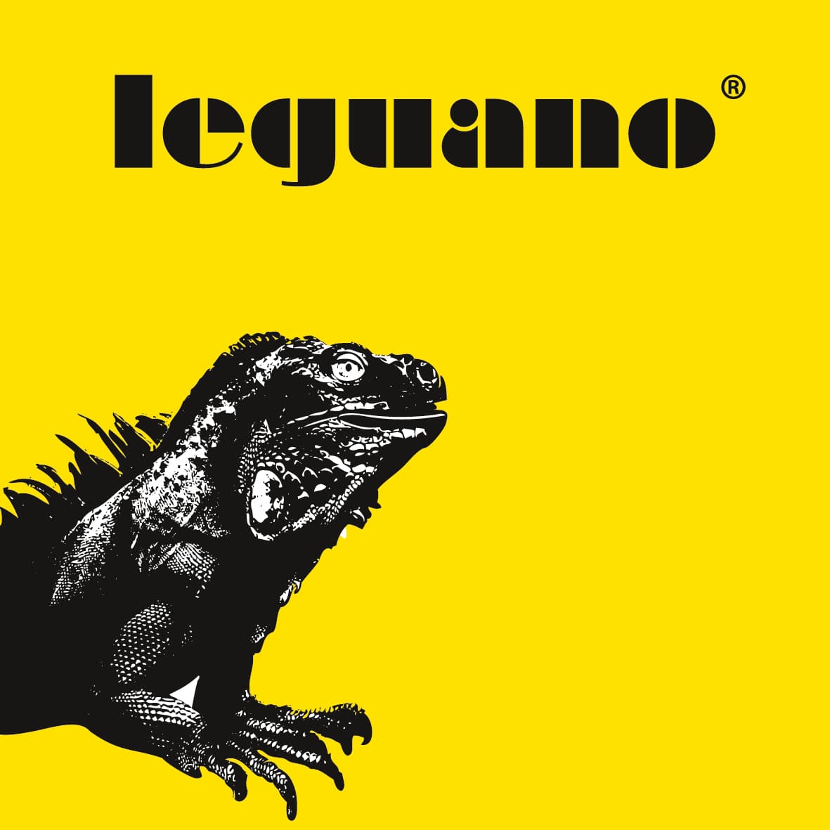 Leguano Leguano
